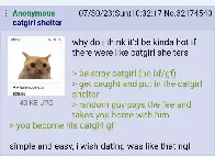 Anon wishes there were catgirl shelters