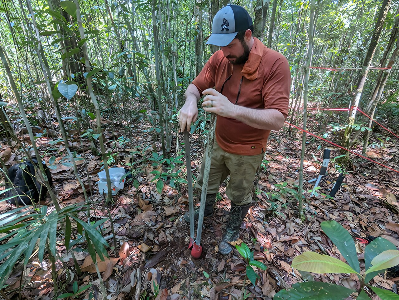 Research predicts rise in tropical hydraulic failure