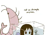 shrimple by orenji