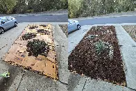 Sheet mulching