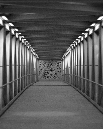 The Pedestrian Bridge - Lemmy.world