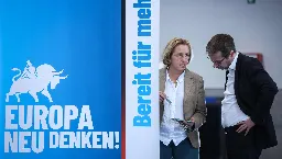 AfD-Wahlversammlung: Bewerber für Europa wollen radikale Abkehr von der EU