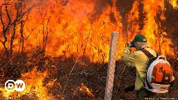 Brazil faces worst fires in 14 years – DW – 10/12/2024