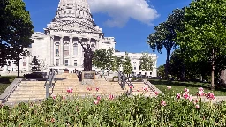 Up in smoke: Workers remove dozens of apparent marijuana plants from Wisconsin Capitol tulip garden