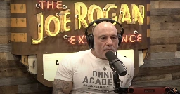 Joe Rogan Blasts ‘Bulls**t Game’ of ‘Pretending’ Everyone Is ‘Hitler’ After Elon Musk Accused of ‘Nazi Salute’: ‘Crying Wolf’