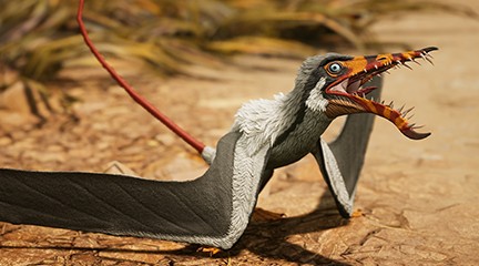 Rhamphorhynchus Released!