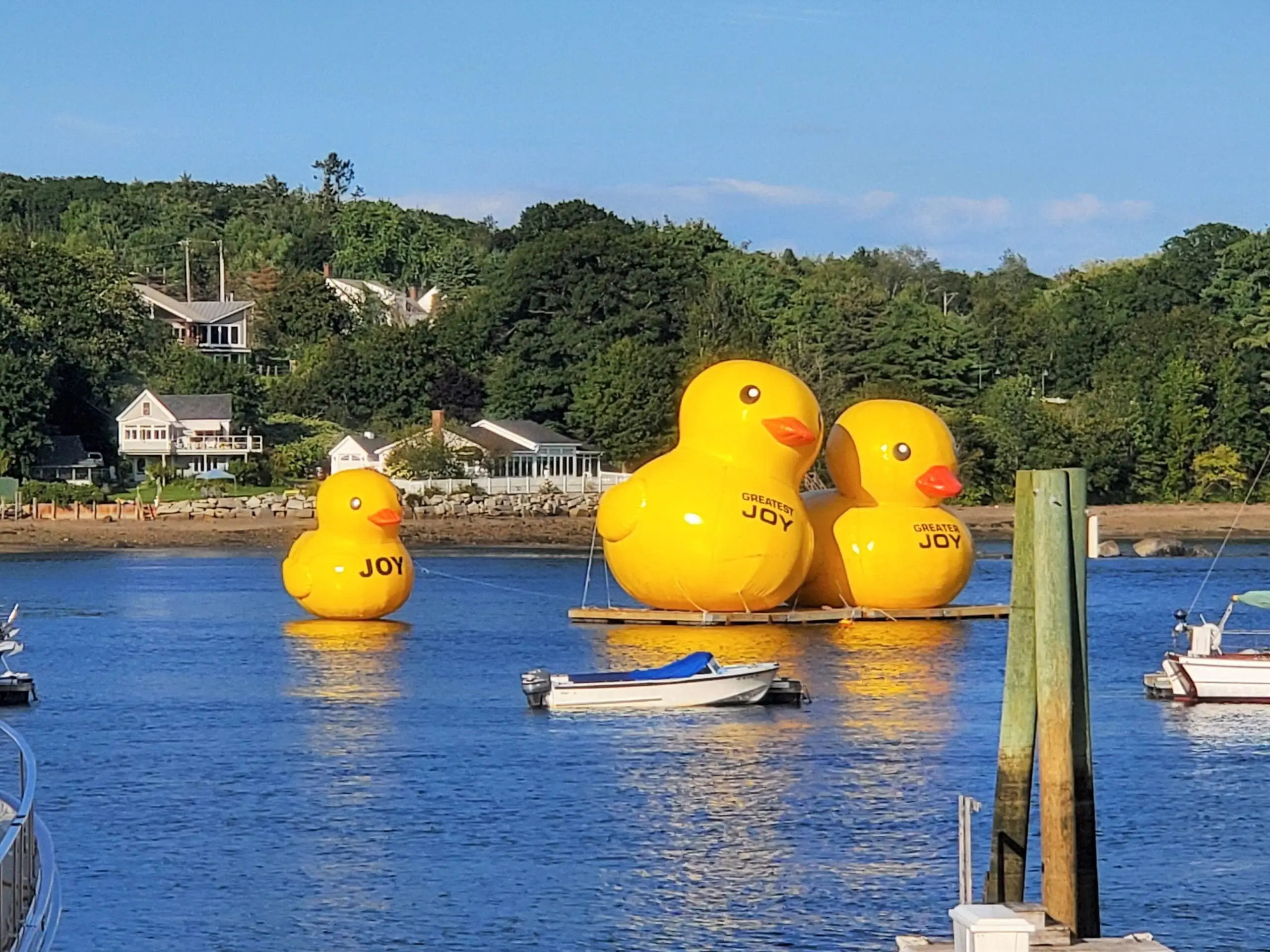 Giant inflatable ducks are floating in a Maine harbor, and no one knows where they came from