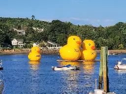 Giant inflatable ducks are floating in a Maine harbor, and no one knows where they came from