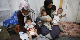 UN Food Chief Says Northern Gaza Suffering 'Full-Blown Famine' | Common Dreams