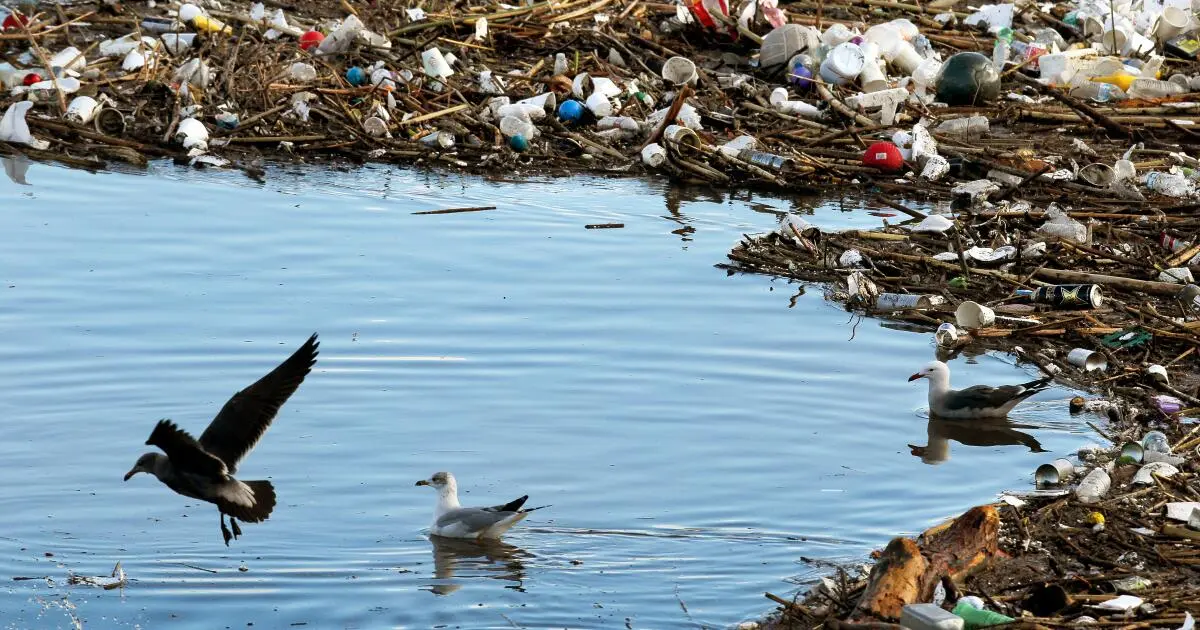 L.A. County sues Pepsi and Coca-Cola over their role in ongoing plastic pollution crisis