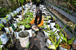 Pahang converts Ramadan food waste into fertiliser
