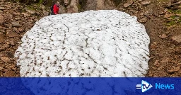 Snow patch deemed 'barometer for climate change' melts for fourth year in a row