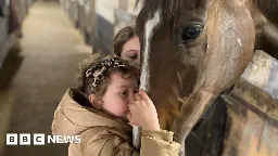 Childhood leukaemia: How winning racehorse 'changed everything'