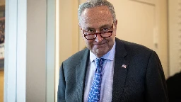 Schumer: Trump Probably Regrets Picking 'Weird' J.D. Vance