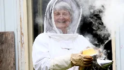 Varroa mite outbreak and response sparks backyard beekeeper exodus