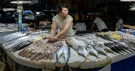 Who is eating all the fish?