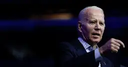 Five senators ask Biden to impose China travel ban after respiratory illness cases