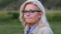 Liz Cheney ties House GOP chaos to Trump's behavior | CNN Politics