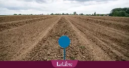 La sécheresse s'accentue peu à peu en Wallonie