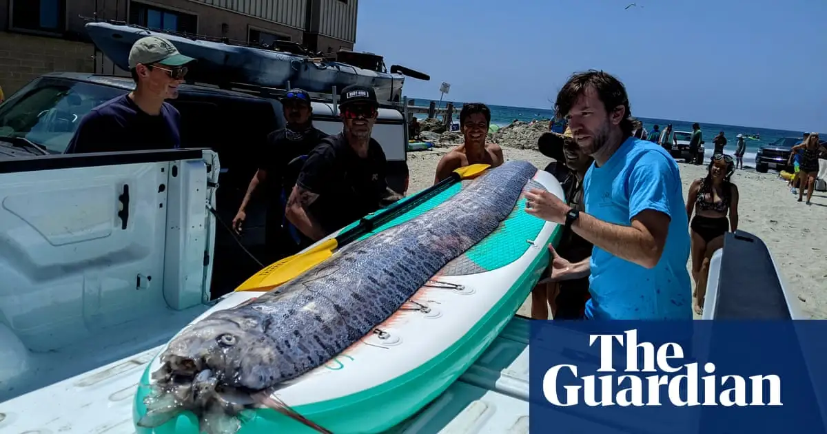 Second oarfish, mythical harbinger of doom, found washed up in California