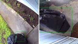 Watch: Thief Disguises As Garbage Bag To Steal Package Off A Porch - News18