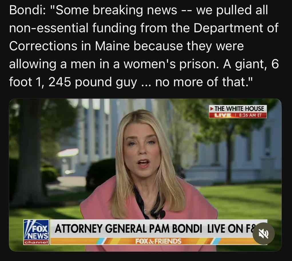 bondi