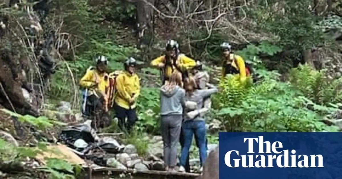 Man survives being lost in California mountains for 10 days by eating berries