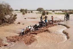 Au Sénégal, des inondations font plus de 56 000 déplacés dans l’est du pays