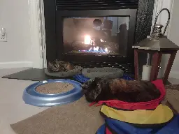 Warm Kitties = Happy Kitties