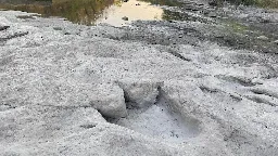 One of the longest dino tracks in the world revealed by drought in Texas state park