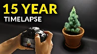 Filmed Plants For 15 years | Time-lapse Compilation