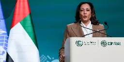 Green Groups Endorse Kamala Harris, Say She'll 'Raise Climate Ambition' | Common Dreams