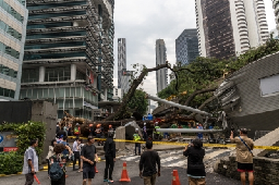 One killed, another injured after tree falls on road, monorail track along KL’s Jalan Sultan Ismail (VIDEO)