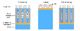 Engineers develop solar-powered lithium extraction from brine