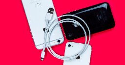 iPhone 15 buyers will be reminded Lightning cables are now landfill