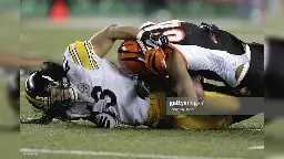 'Troy, You Hit Like A Bitch:' T.J. Houshmandzadeh Explains Why He Felt Bad Talking Trash To Troy Polamalu