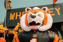 Survey Shows What Bengals Fans Would Give Up for a Super Bowl Win