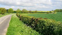 Besoin de bras pour planter une haie à la Chapelle-sous-Rougemont (90) - France Bleu