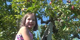 Maine Apple Sunday brings sigh of relief in Etna