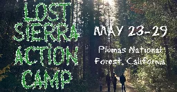 Announcing the Lost Sierra Forest-Climate Action Camp