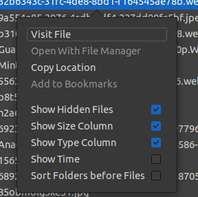 I get this context menu when I first click the file.