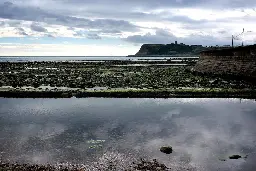 Yorkshire Water dumped sewage into rivers and seas for more than half a million hours last year