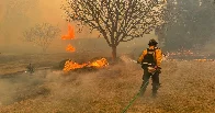 Climate Change Is Raising Texas’ Already High Wildfire Risks | The Smokehouse Creek fire is a sign of more to come. Property insurers in Texas are already responding.