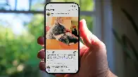 CNET: Fed Up With Instagram? How to Move Your Photos to Pixelfed