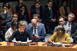 US Vetoes Resolution Calling for 'Humanitarian Pause' - Truthdig