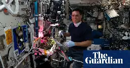Lost in space no more: missing tomato found in space station after eight months