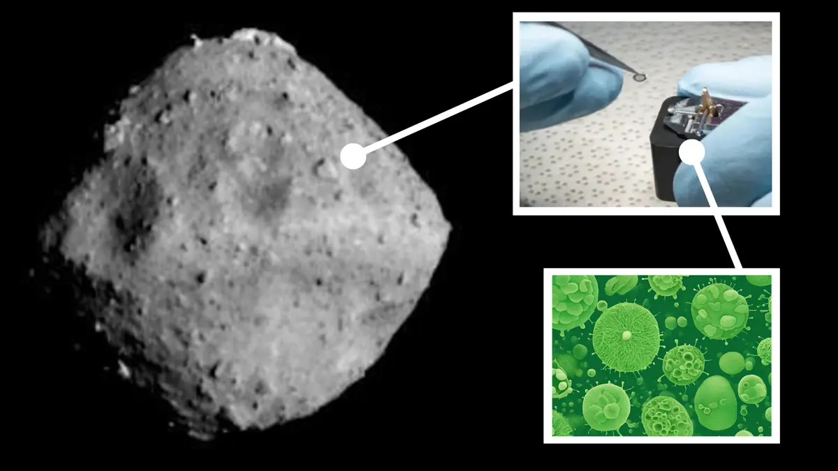 Japan's priceless asteroid Ryugu sample got 'rapidly colonized' by Earth bacteria