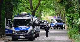 Lion on the loose near Berlin prompts huge police response