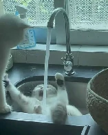 Water torture