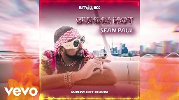 Sean Paul - Summa Hot | Official Visualizer (2023)